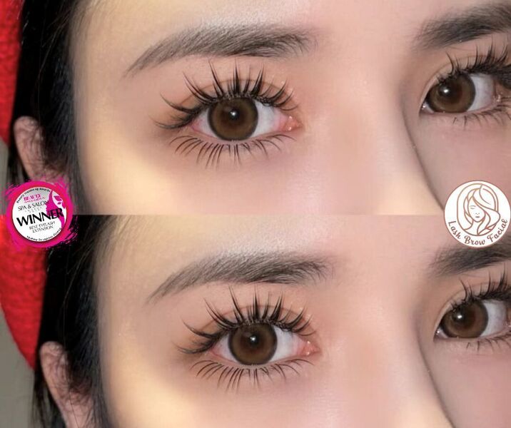 Designer Manga — Serenity Beaute Singapore